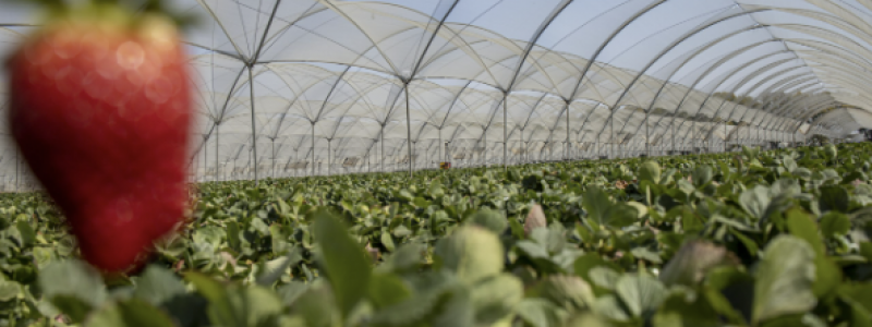 Private Equity Shifts from Cost-Cutting to Value Creation 